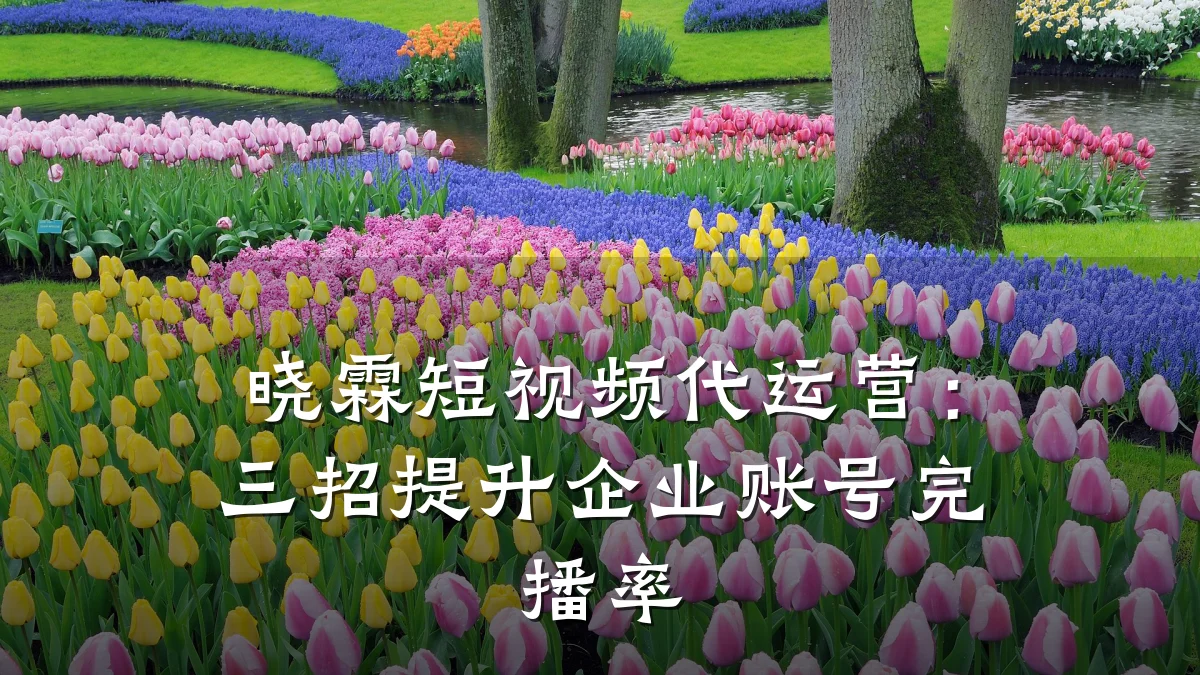 晓霖短视频代运营:三招提升企业账号完播率