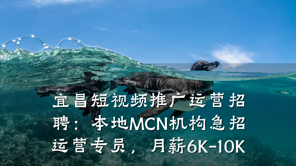 宜昌短视频推广运营招聘：本地MCN机构急招运营专员，月薪6K-10K