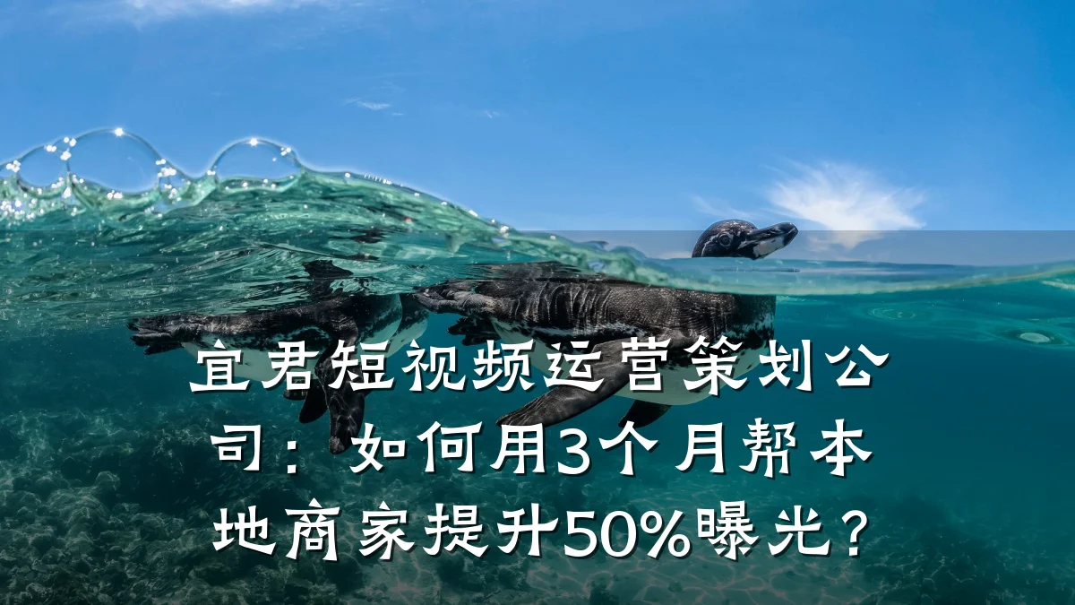 宜君短视频运营策划公司：如何用3个月帮本地商家提升50%曝光？