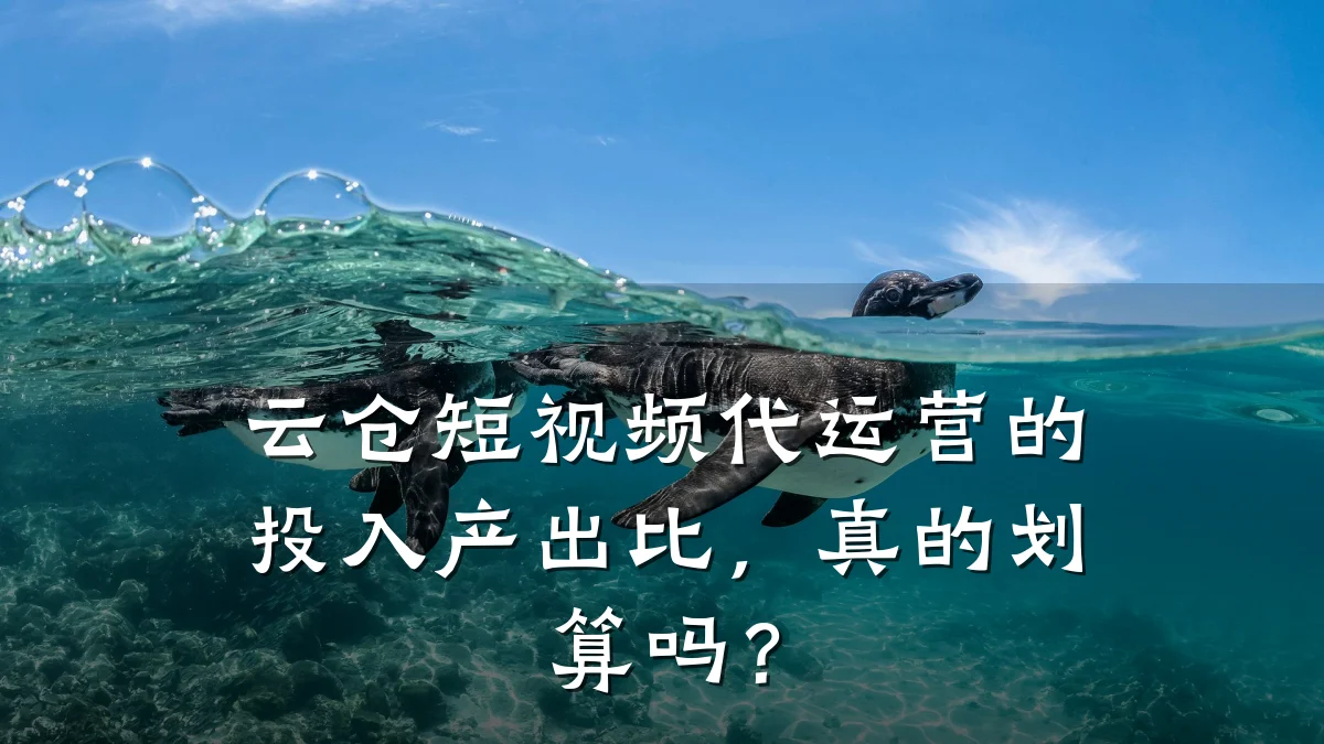 云仓短视频代运营的投入产出比，真的划算吗？