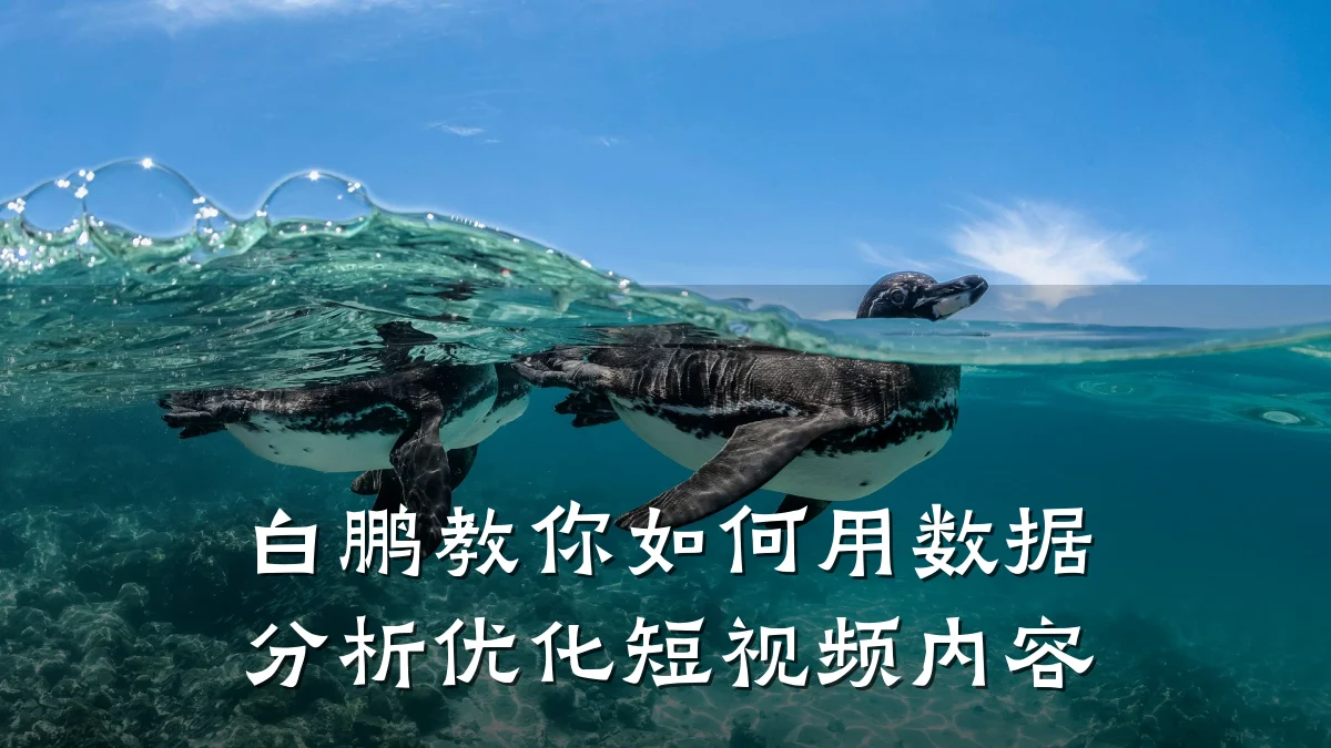白鹏教你如何用数据分析优化短视频内容