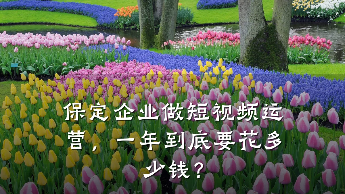 保定企业做短视频运营,一年到底要花多少钱?