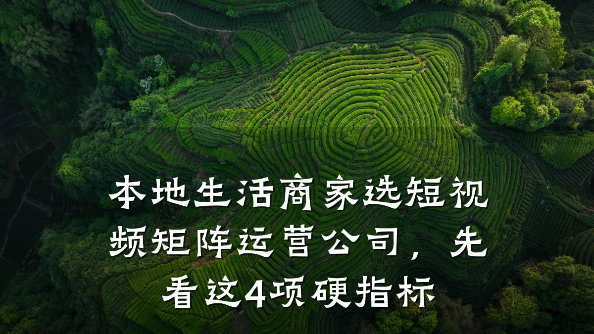 本地生活商家选短视频矩阵运营公司,先看这4项硬指标