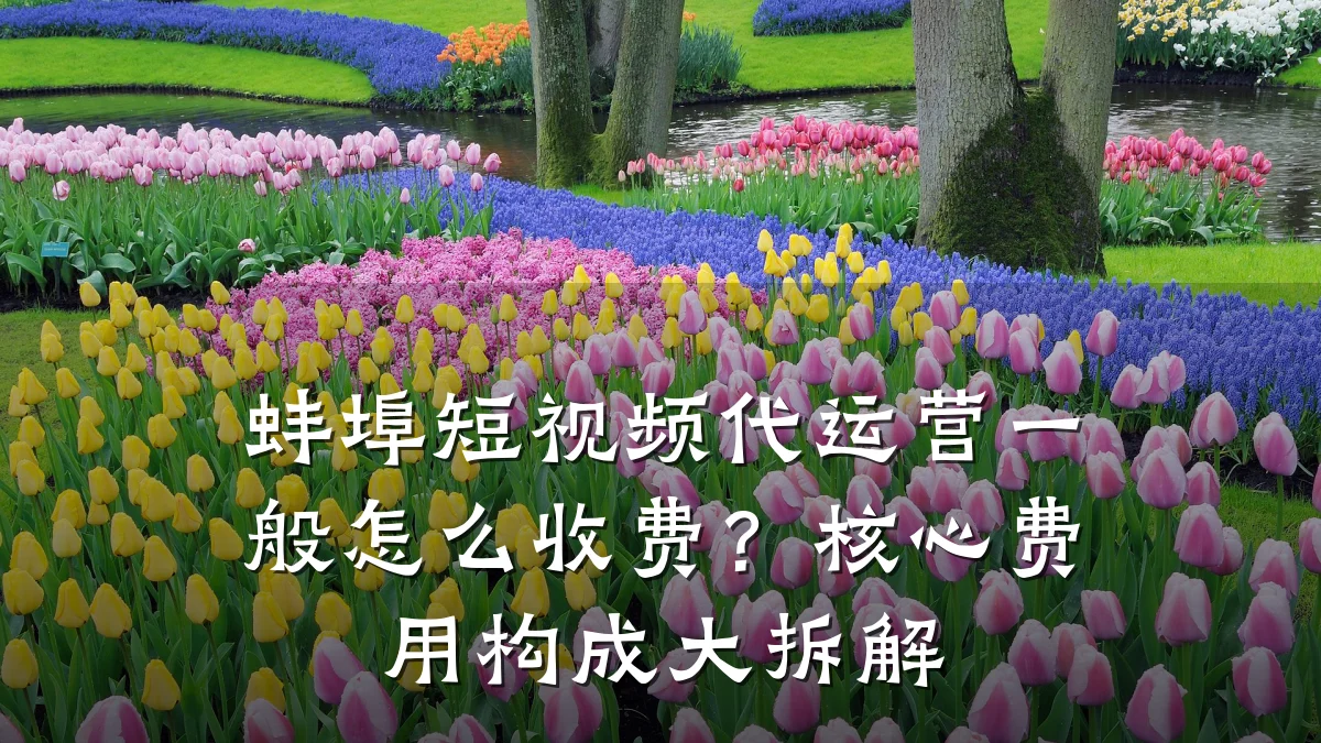 蚌埠短视频代运营一般怎么收费?核心费用构成大拆解