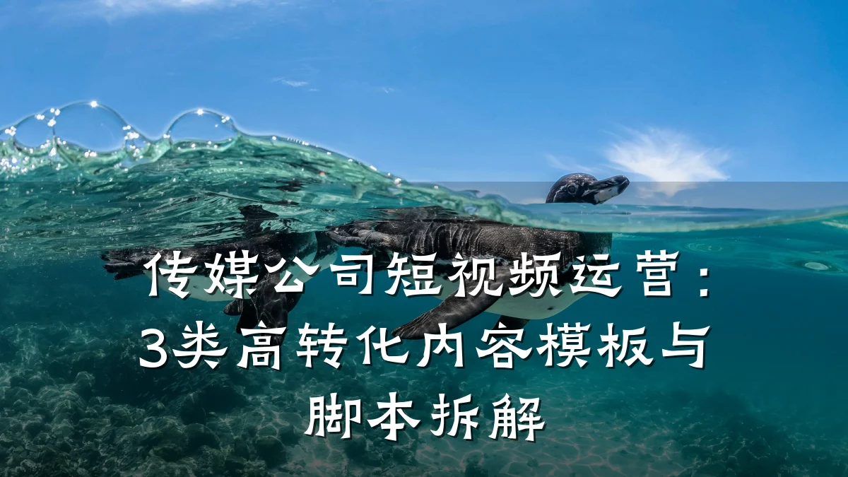 传媒公司短视频运营:3类高转化内容模板与脚本拆解