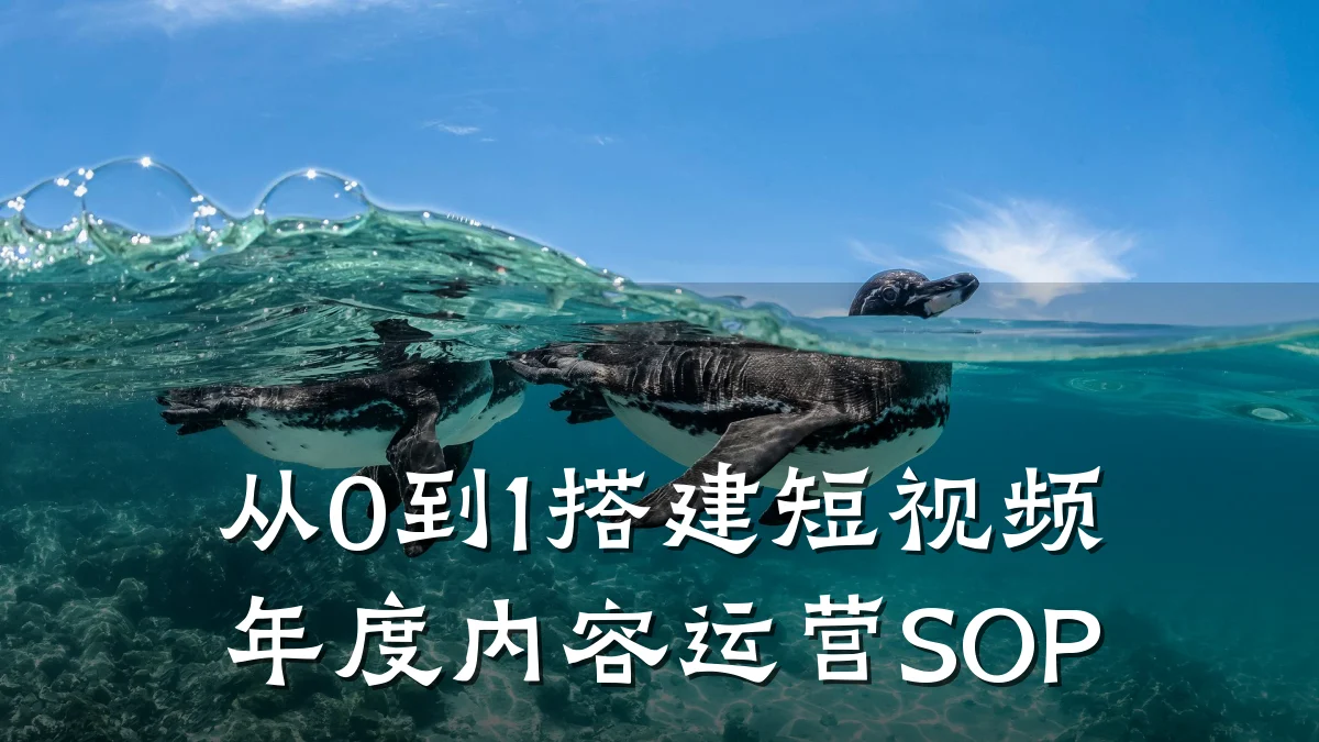 从0到1搭建短视频年度内容运营SOP