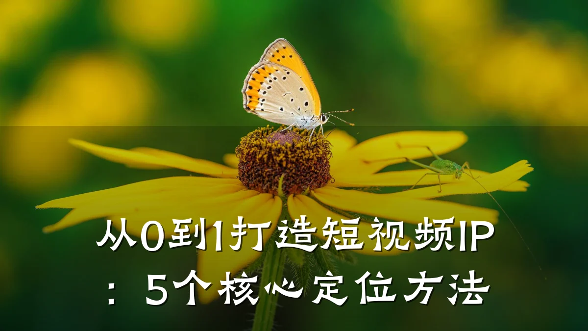 从0到1打造短视频IP:5个核心定位方法