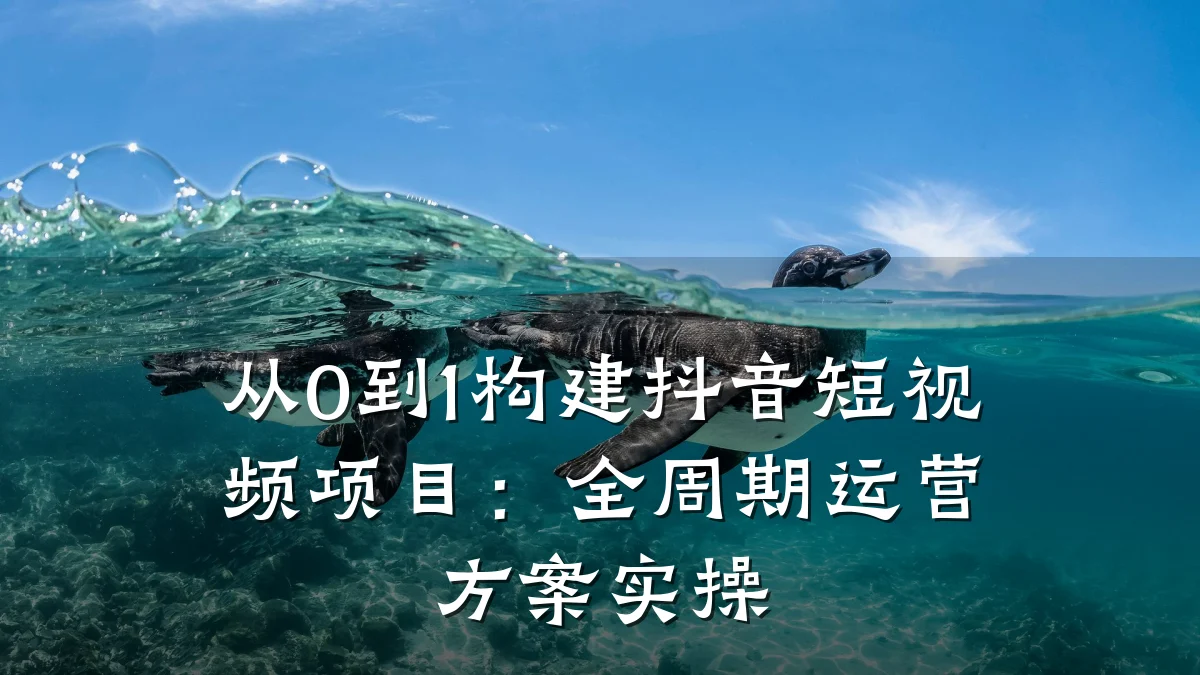 从0到1构建抖音短视频项目:全周期运营方案实操