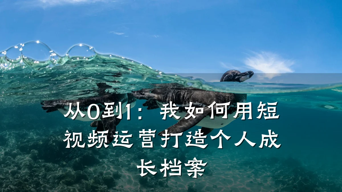 从0到1:我如何用短视频运营打造个人成长档案