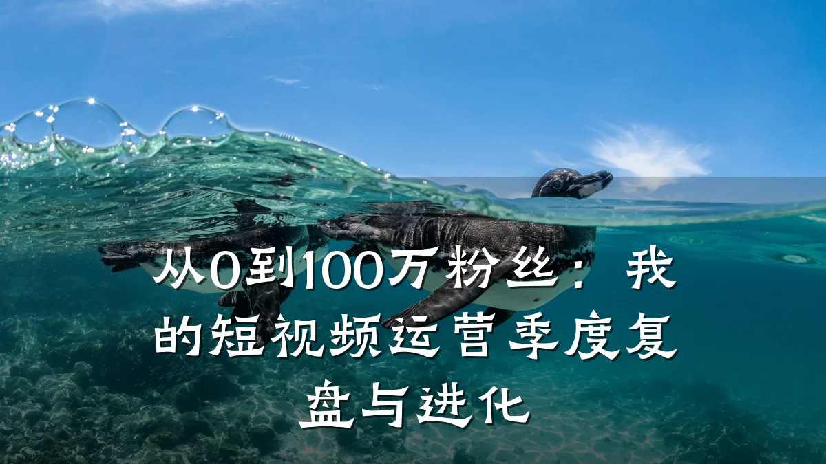 从0到100万粉丝:我的短视频运营季度复盘与进化