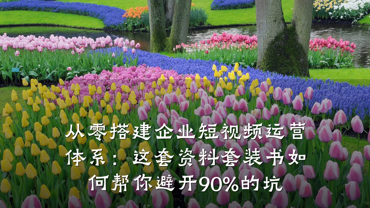 从零搭建企业短视频运营体系：这套资料套装书如何帮你避开90%的坑