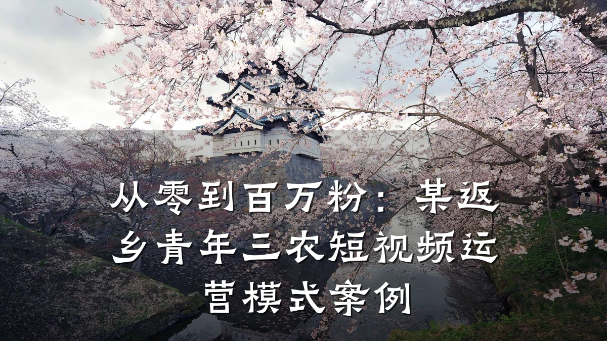 从零到百万粉:某返乡青年三农短视频运营模式案例