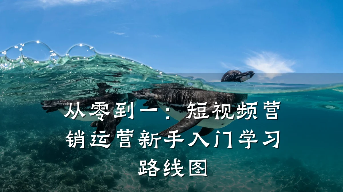 从零到一:短视频营销运营新手入门学习路线图