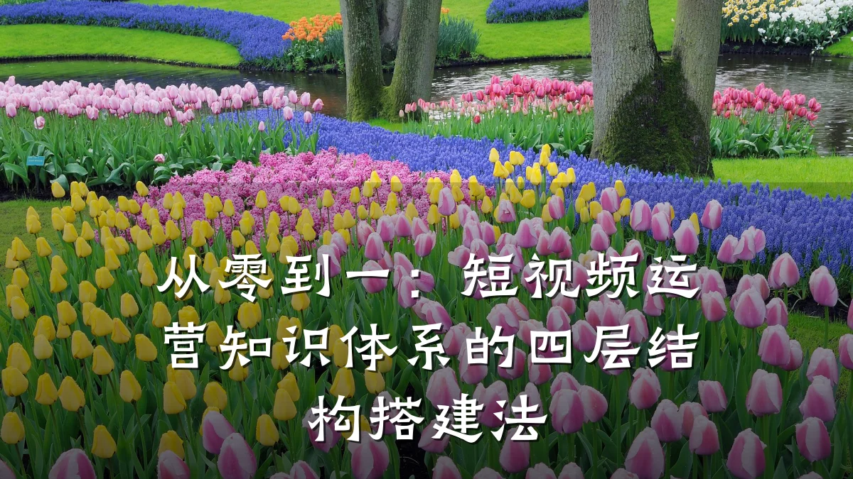 从零到一：短视频运营知识体系的四层结构搭建法