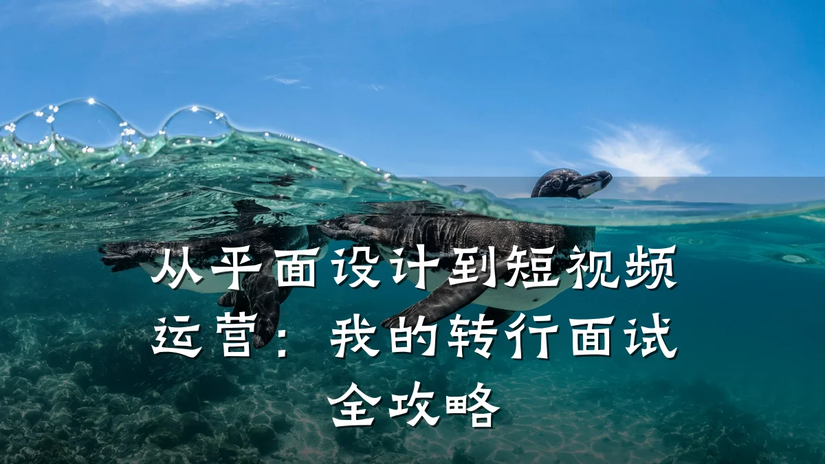 从平面设计到短视频运营:我的转行面试全攻略