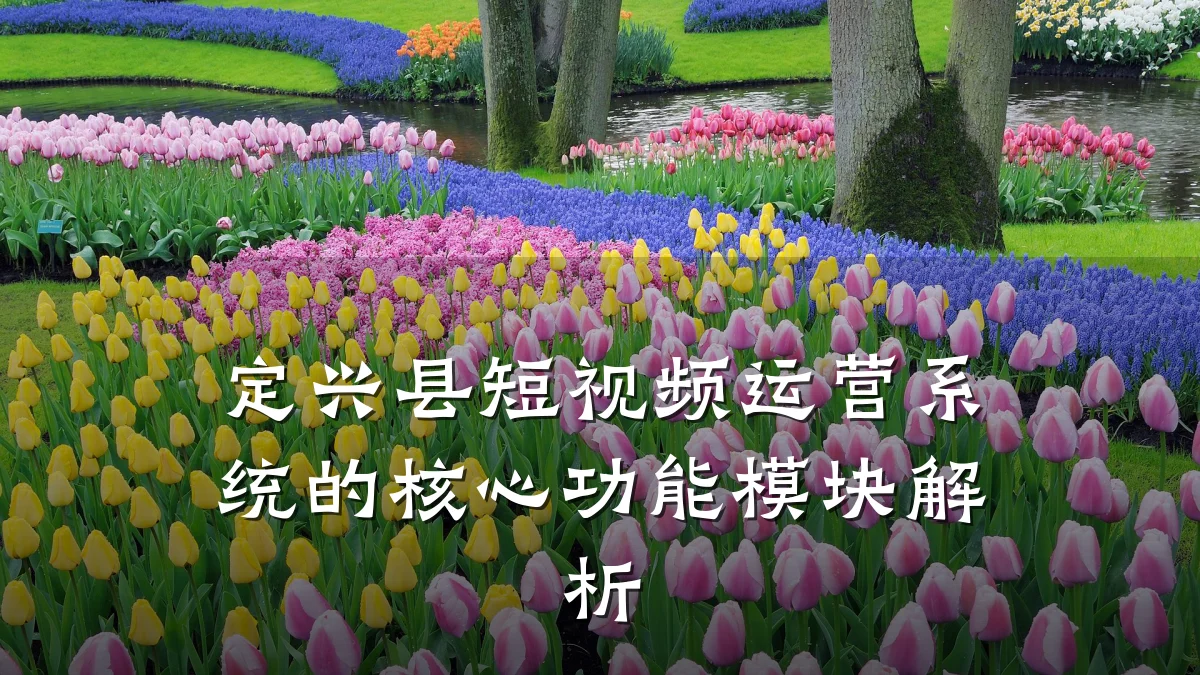 定兴县短视频运营系统的核心功能模块解析