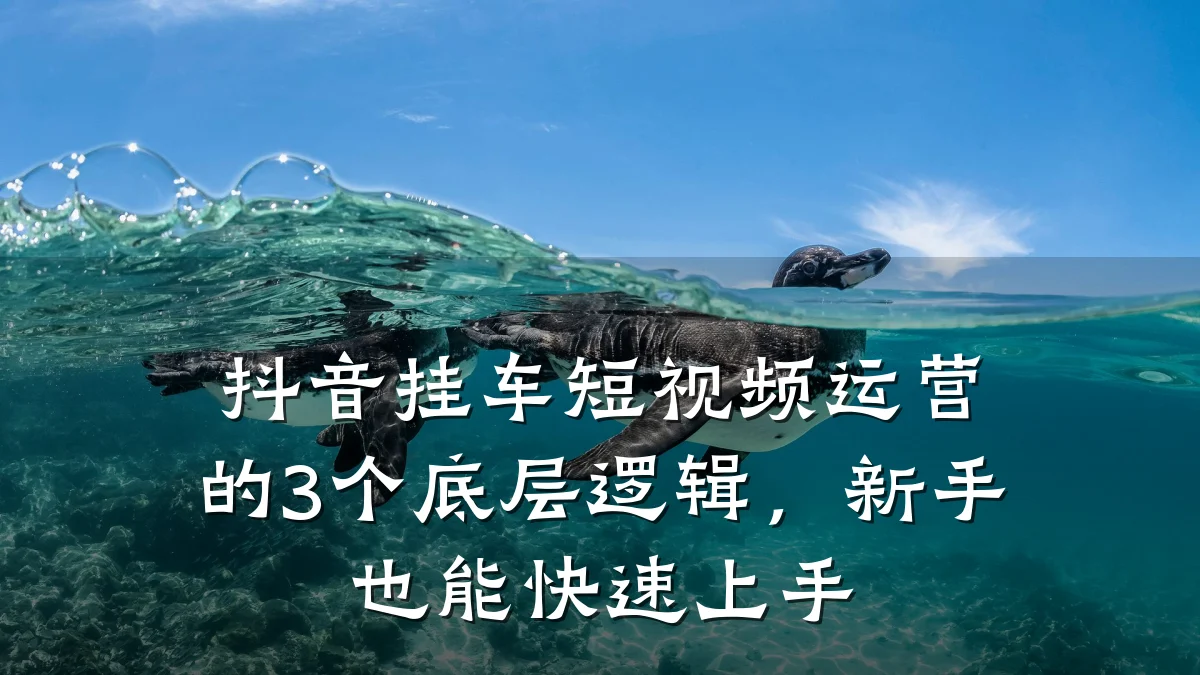 抖音挂车短视频运营的3个底层逻辑，新手也能快速上手