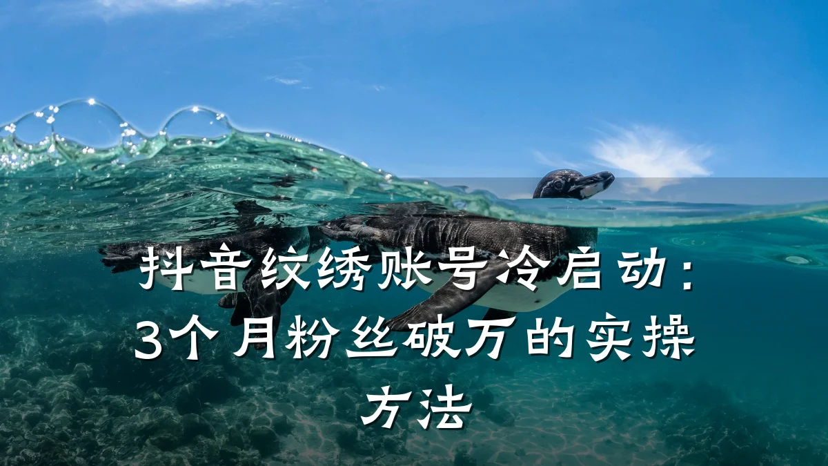 抖音纹绣账号冷启动:3个月粉丝破万的实操方法