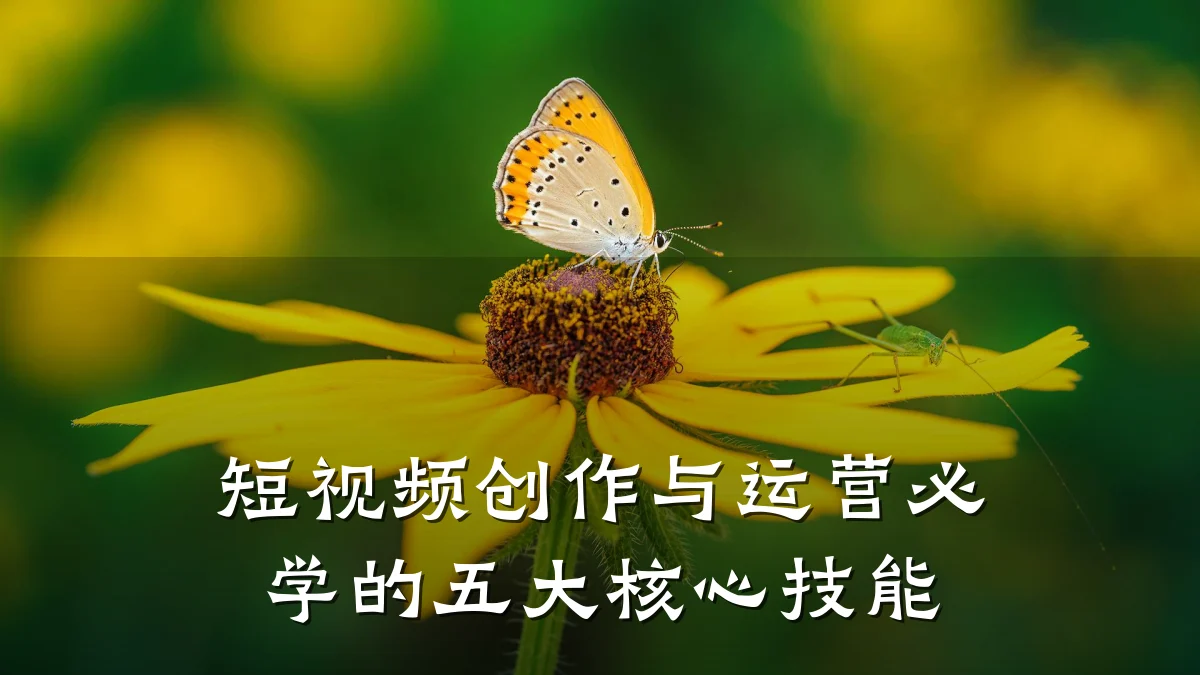 短视频创作与运营必学的五大核心技能