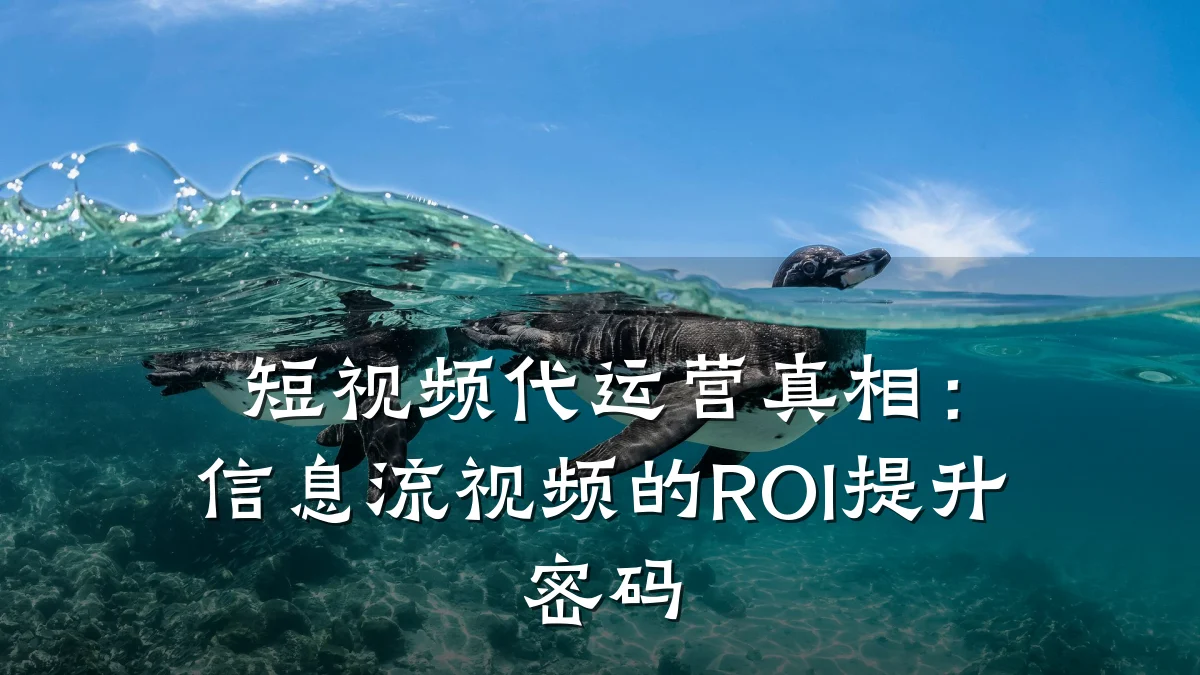 短视频代运营真相:信息流视频的ROI提升密码