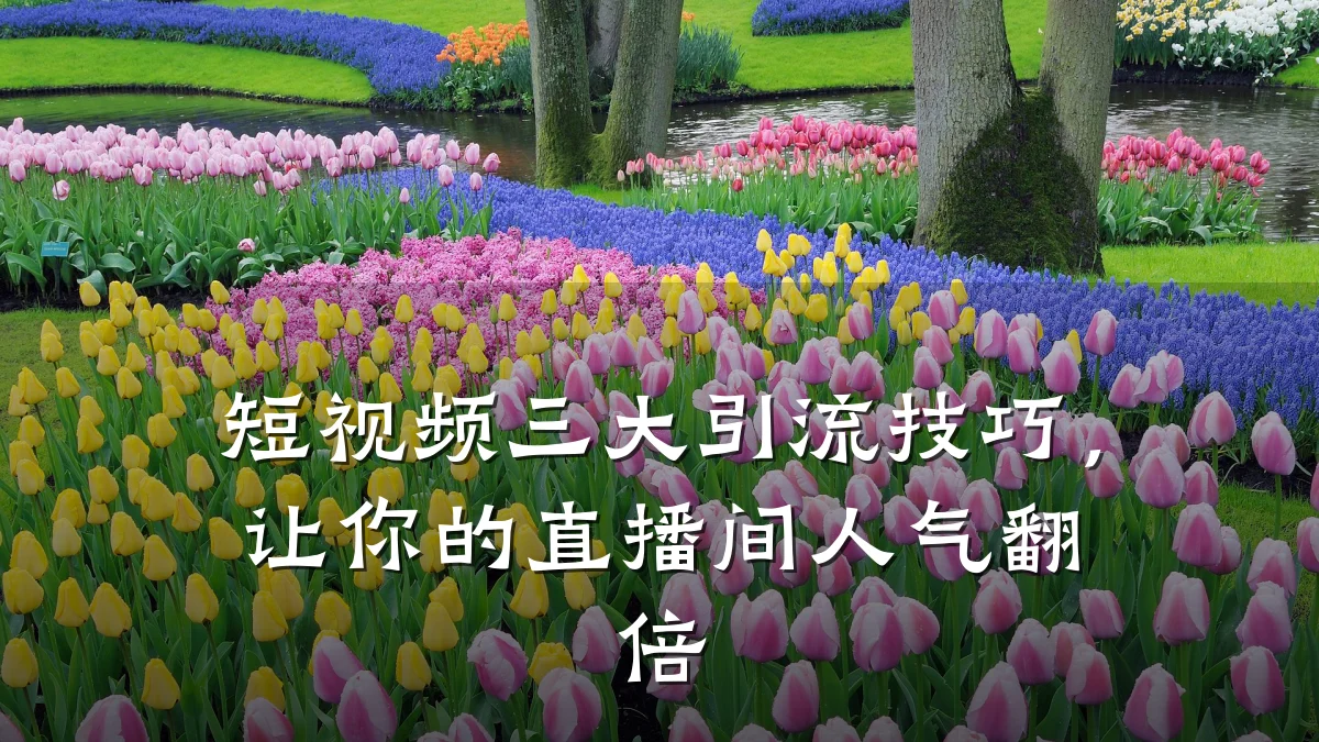 短视频三大引流技巧，让你的直播间人气翻倍