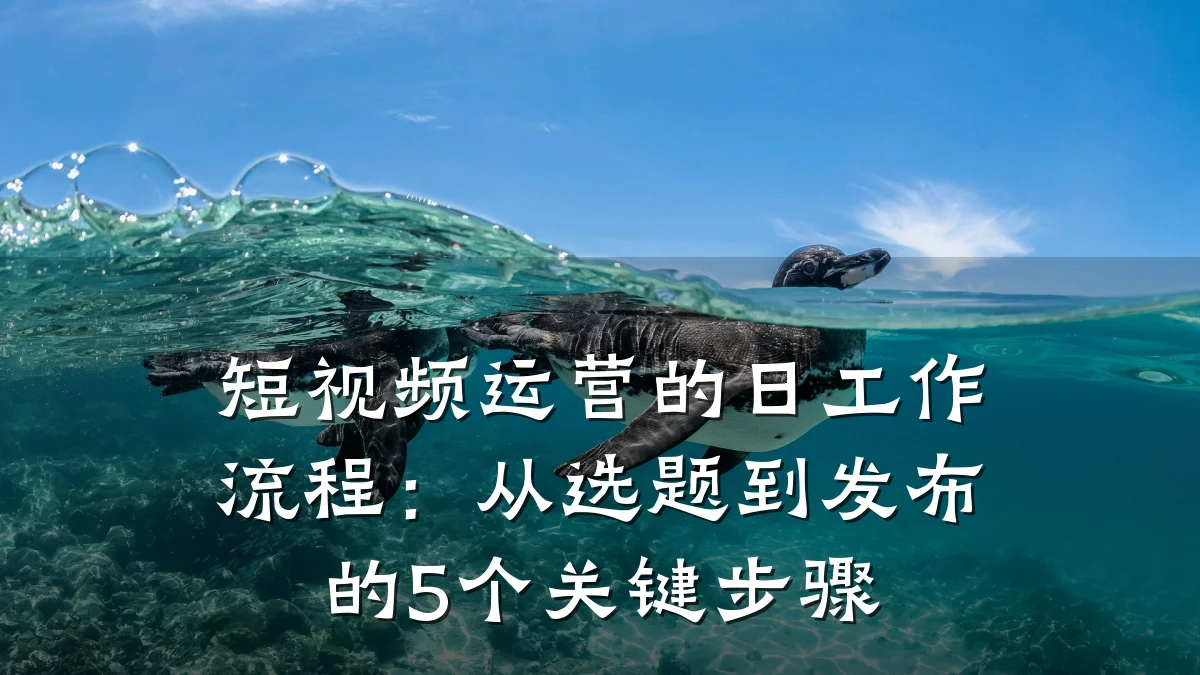短视频运营的日工作流程:从选题到发布的5个关键步骤