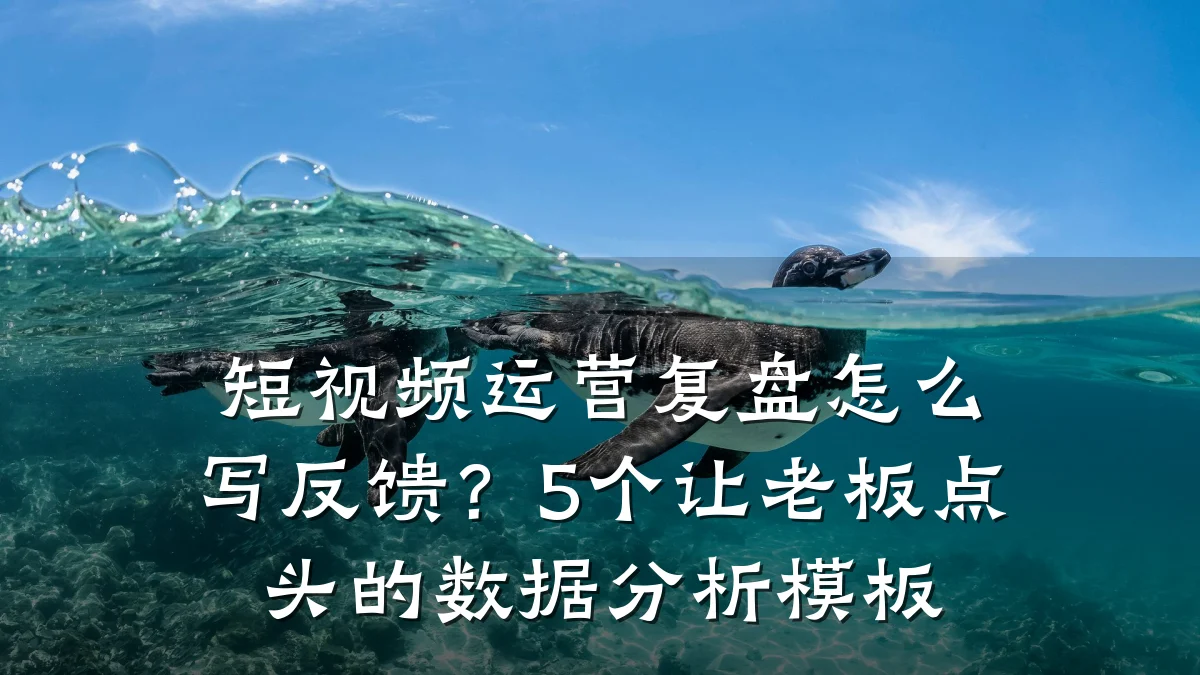短视频运营复盘怎么写反馈？5个让老板点头的数据分析模板