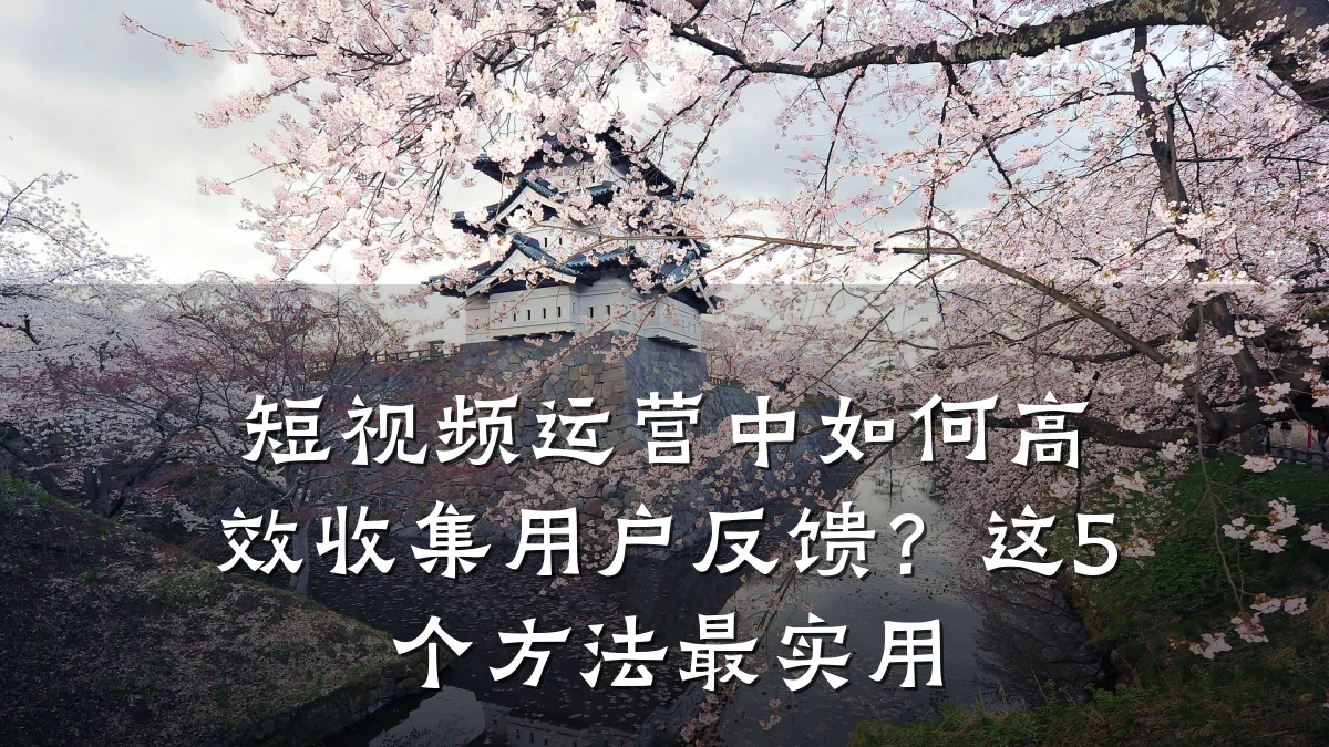 短视频运营中如何高效收集用户反馈?这5个方法最实用
