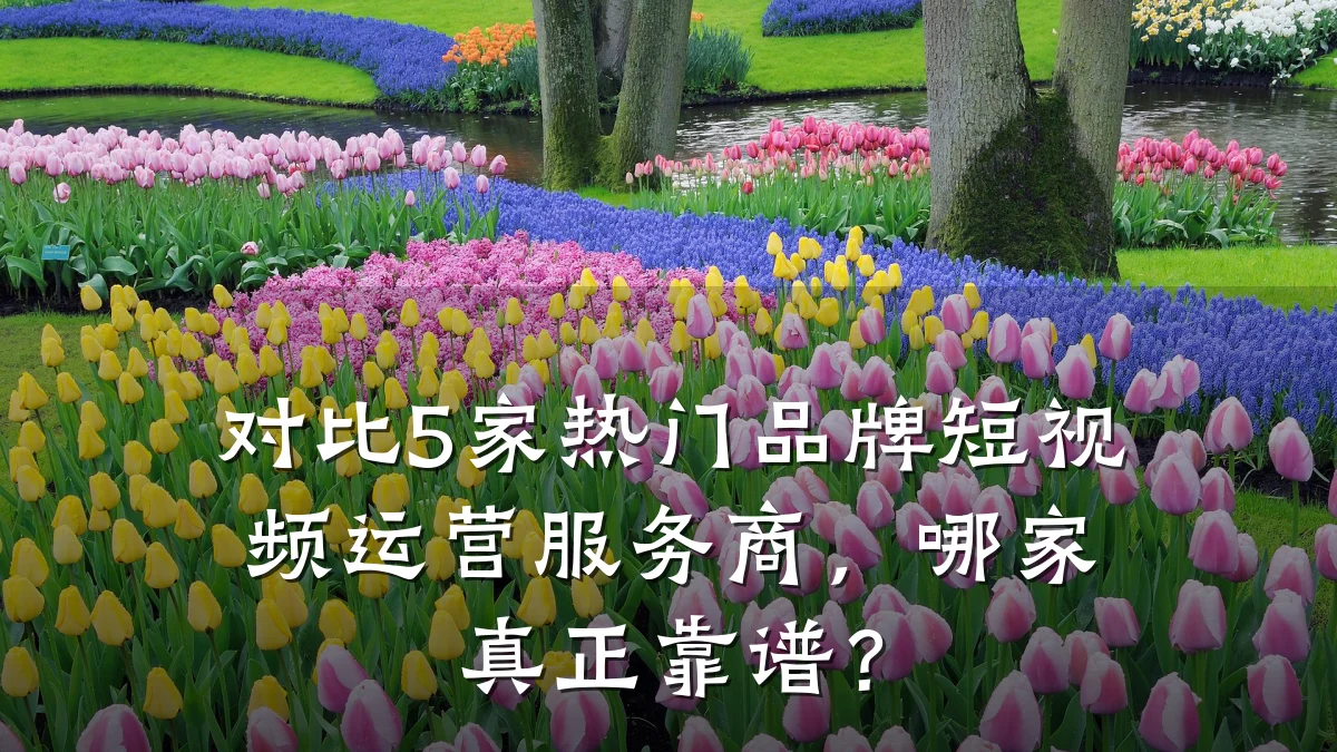 对比5家热门品牌短视频运营服务商,哪家真正靠谱?