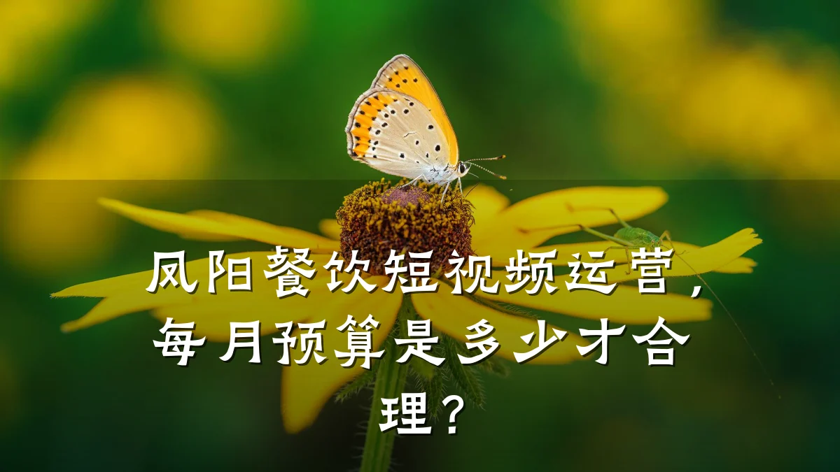 凤阳餐饮短视频运营，每月预算是多少才合理？