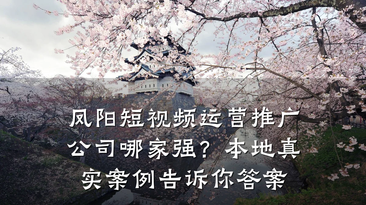 凤阳短视频运营推广公司哪家强？本地真实案例告诉你答案