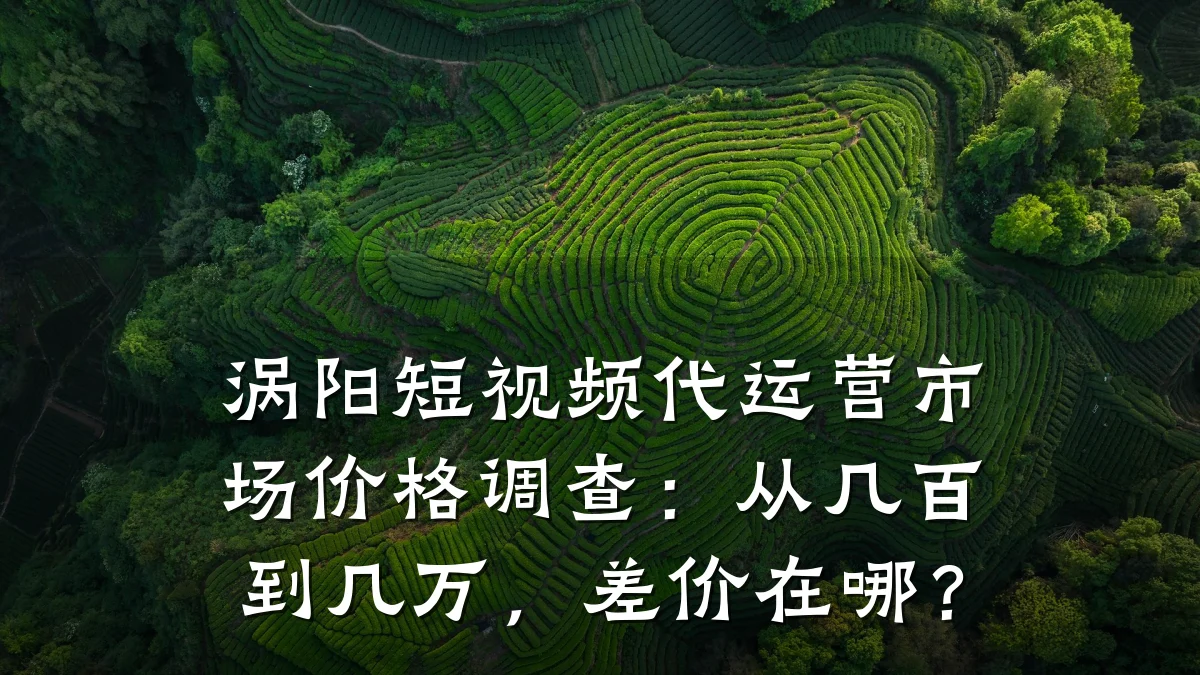 涡阳短视频代运营市场价格调查:从几百到几万,差价在哪?