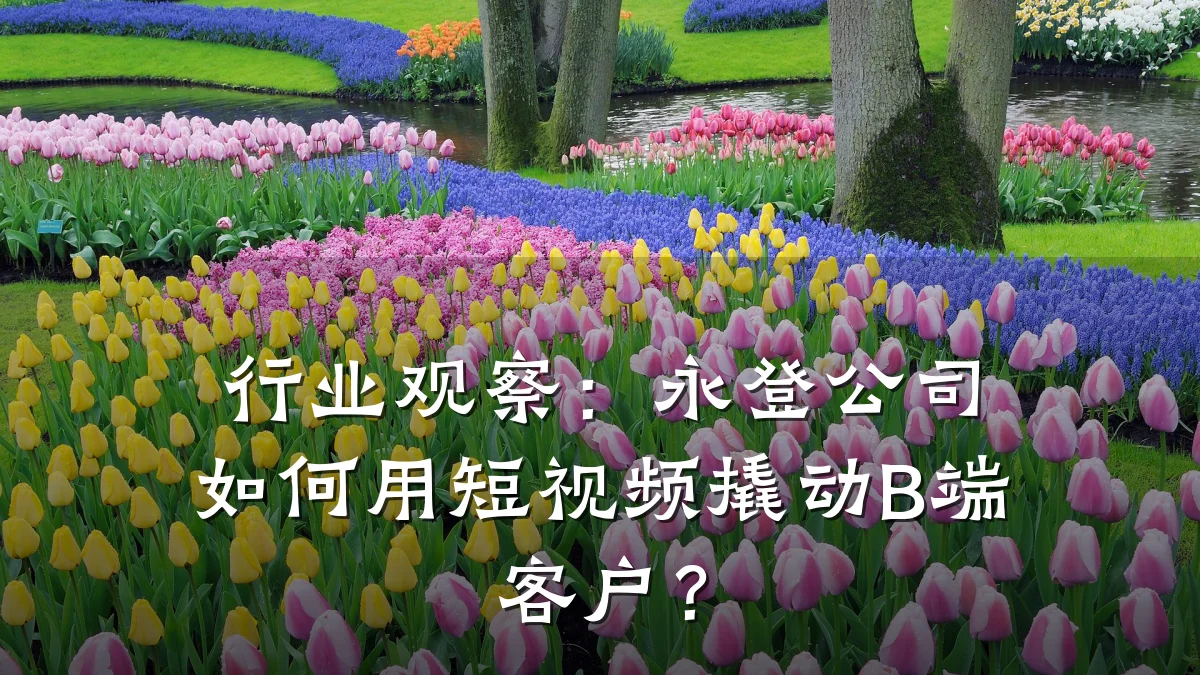 行业观察:永登公司如何用短视频撬动B端客户?