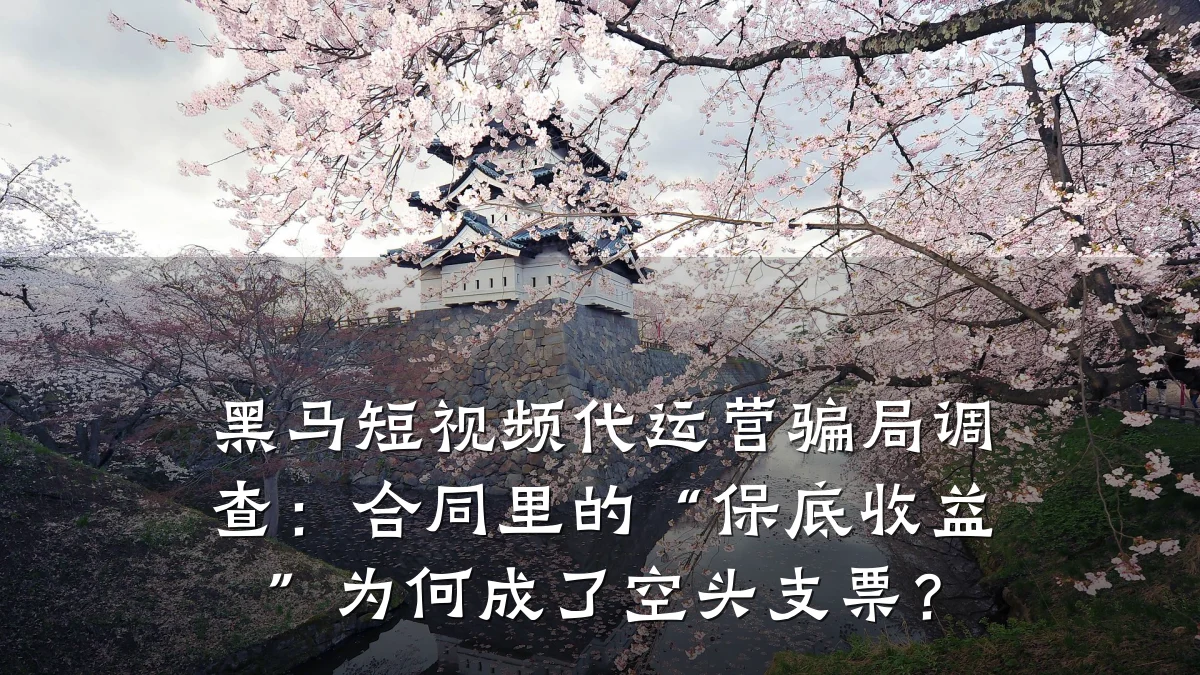黑马短视频代运营骗局调查:合同里的“保底收益”为何成了空头支票?