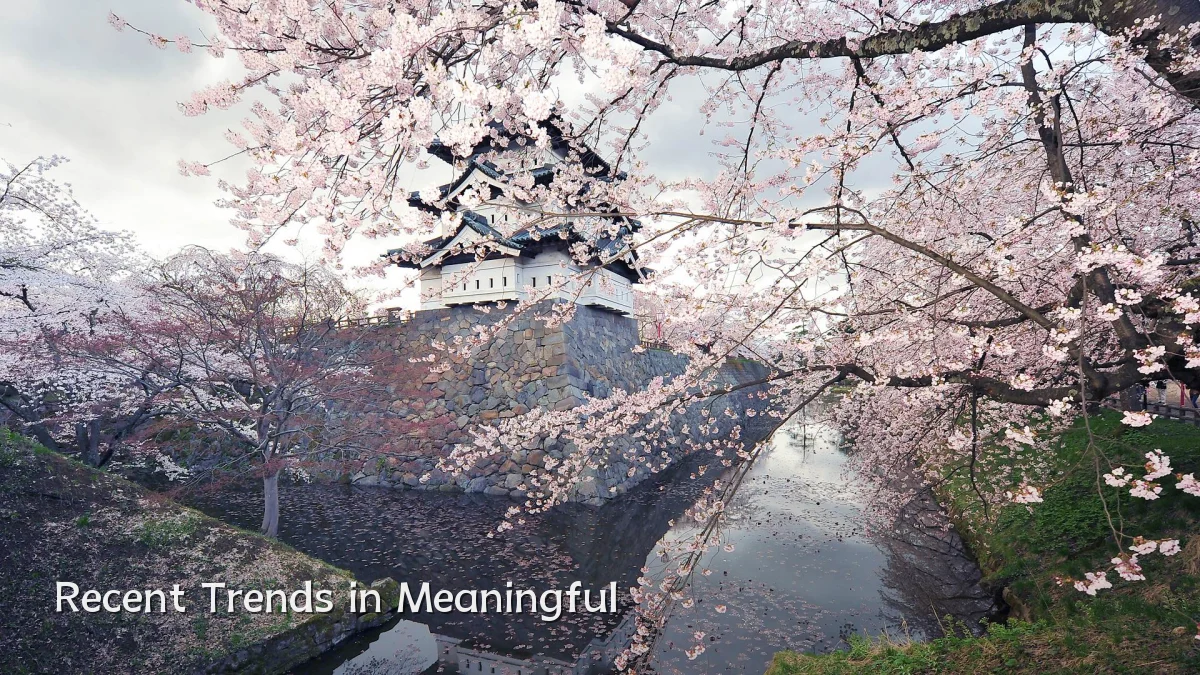 Recent Trends in Meaningful