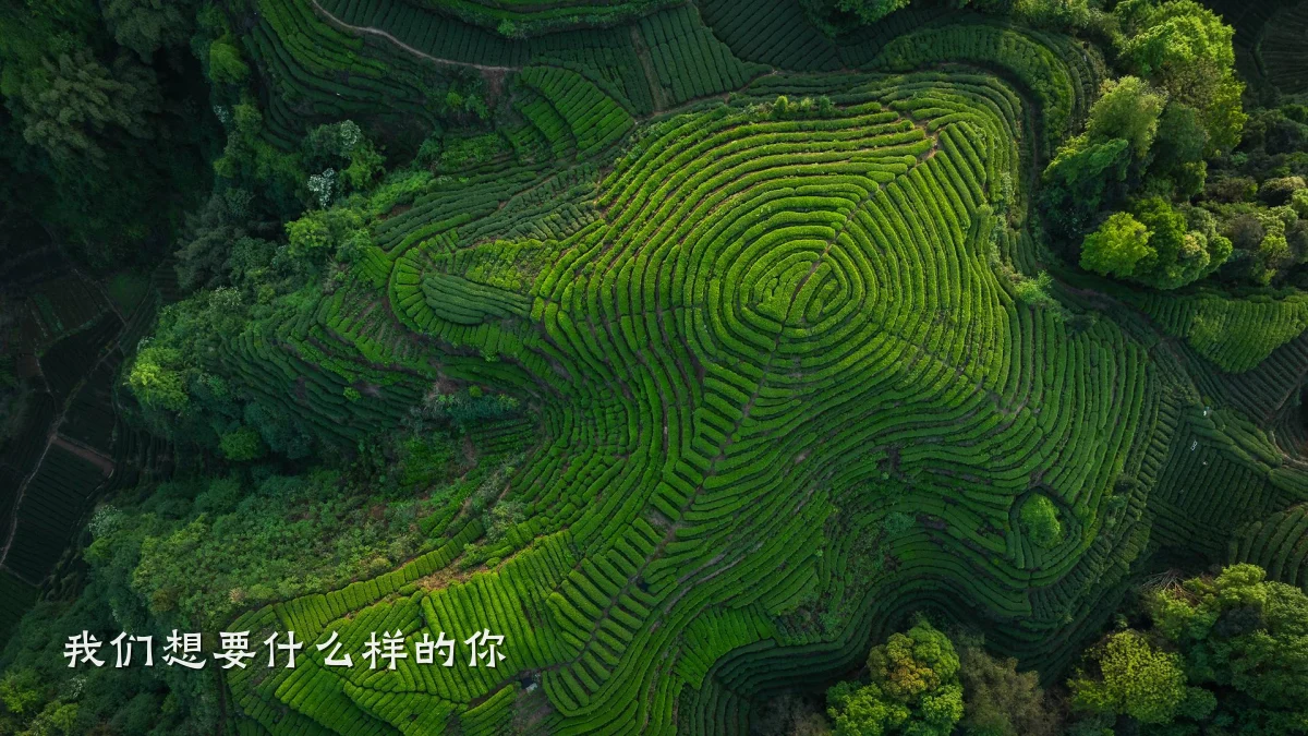 我们想要什么样的你