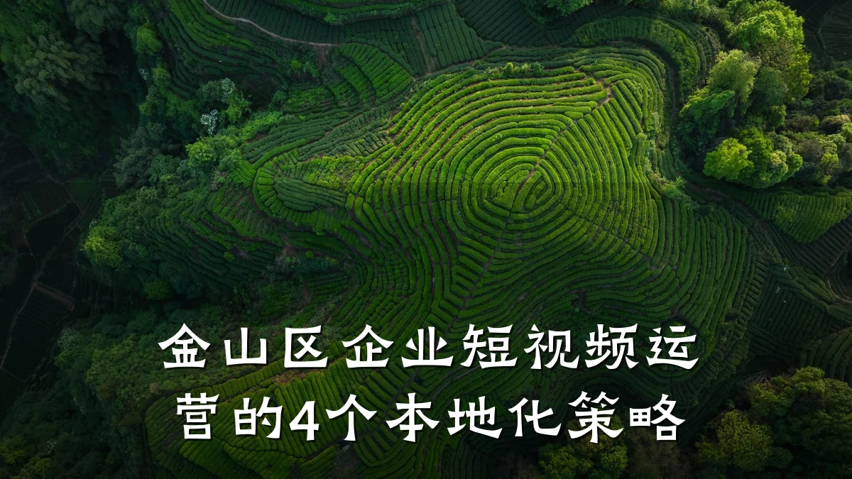 金山区企业短视频运营的4个本地化策略
