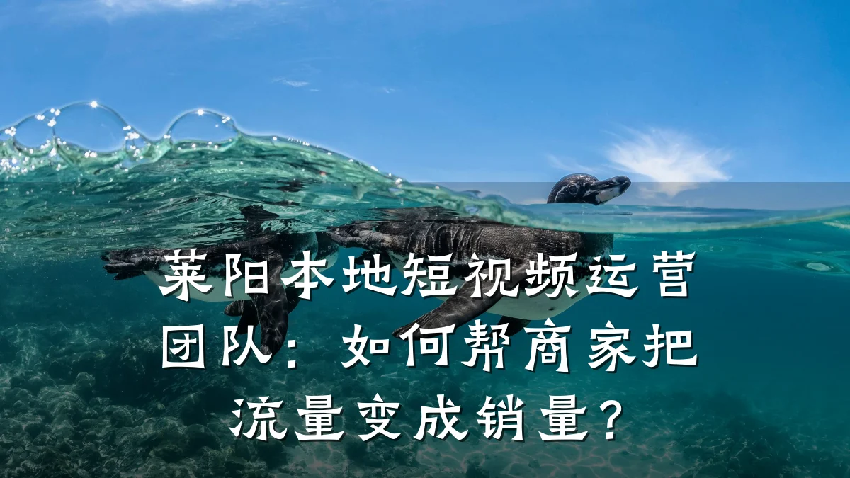 莱阳本地短视频运营团队：如何帮商家把流量变成销量？