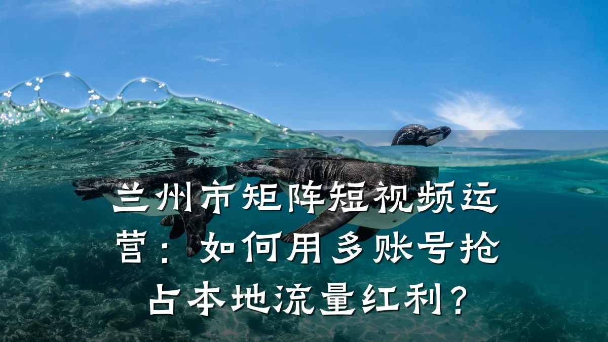兰州市矩阵短视频运营：如何用多账号抢占本地流量红利？