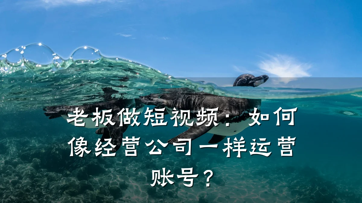 老板做短视频:如何像经营公司一样运营账号?