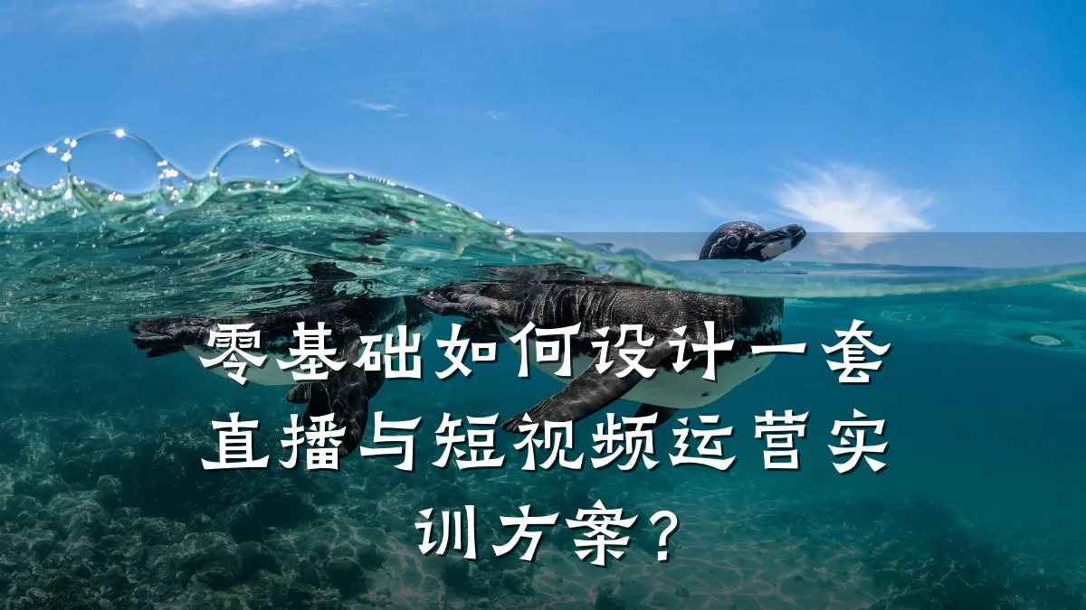 零基础如何设计一套直播与短视频运营实训方案?
