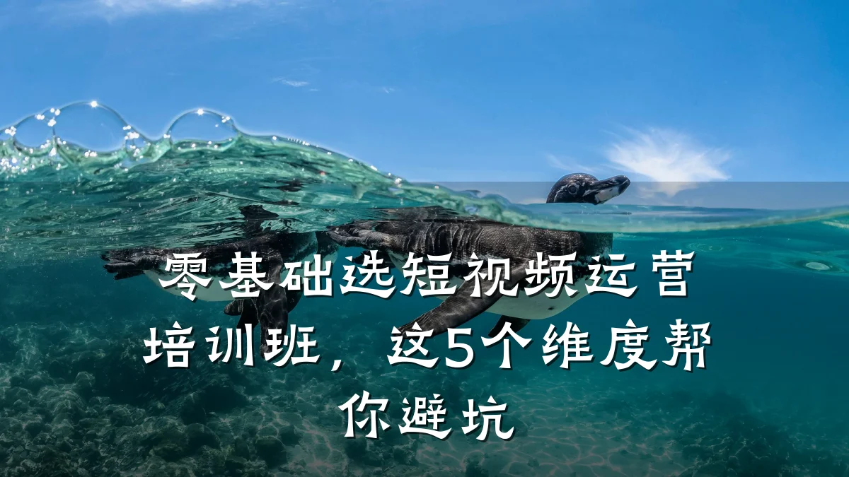 零基础选短视频运营培训班,这5个维度帮你避坑
