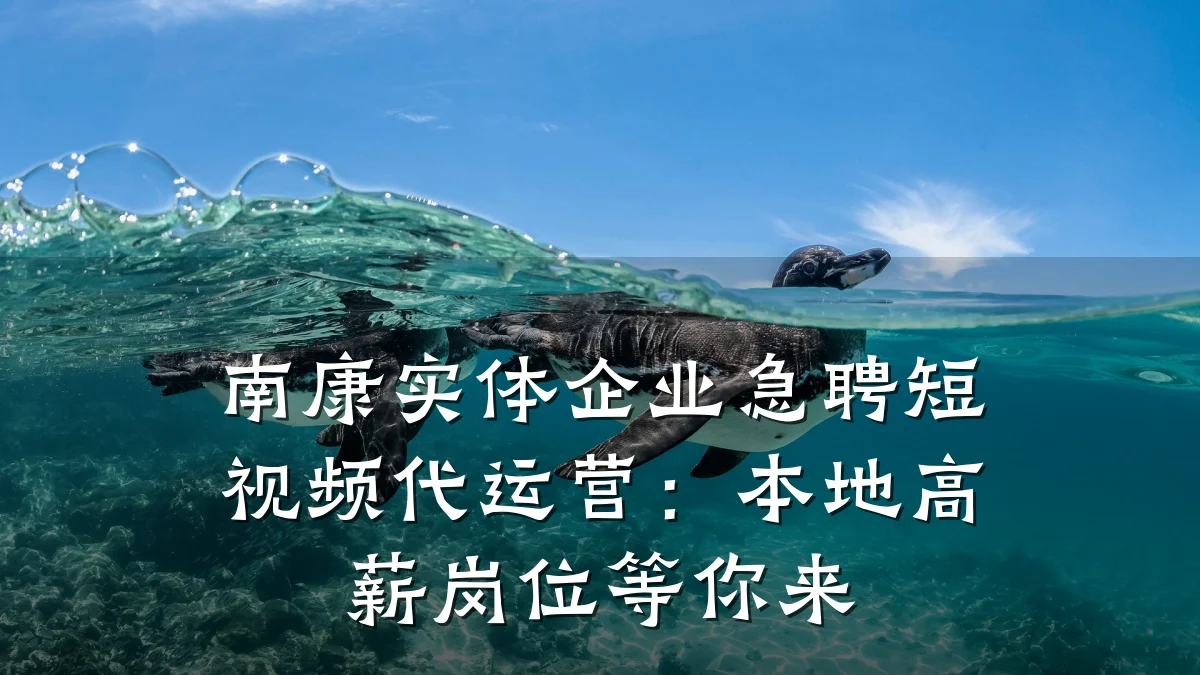 南康实体企业急聘短视频代运营：本地高薪岗位等你来