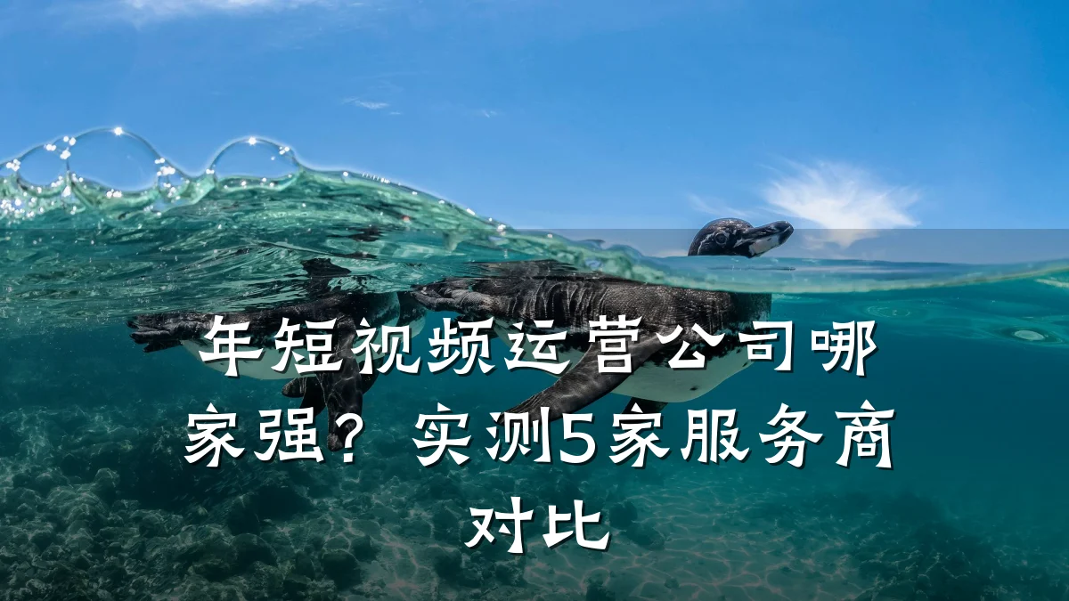 年短视频运营公司哪家强?实测5家服务商对比