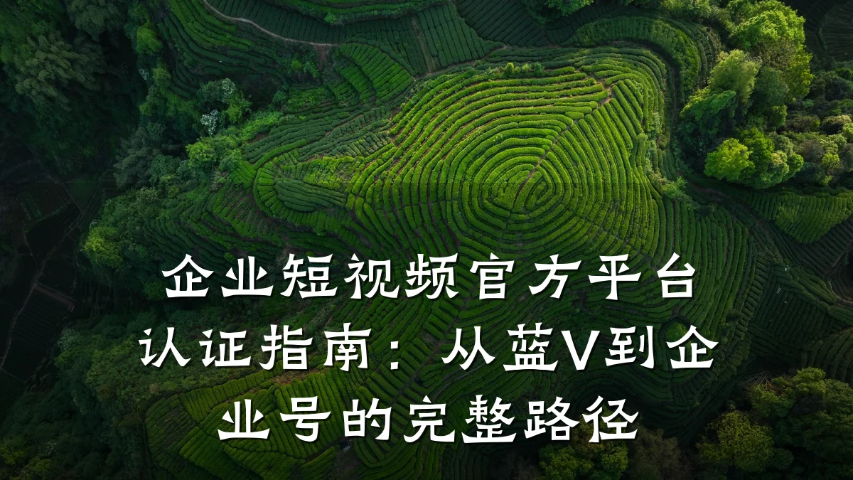 企业短视频官方平台认证指南:从蓝V到企业号的完整路径