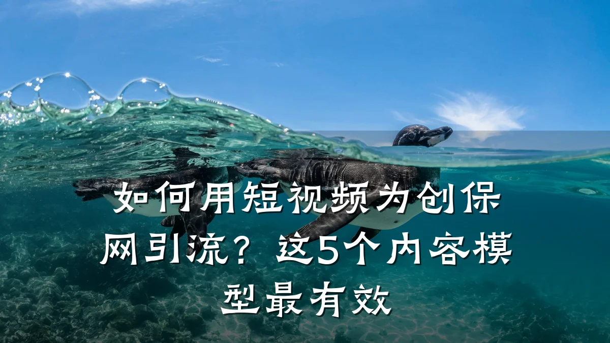 如何用短视频为创保网引流?这5个内容模型最有效