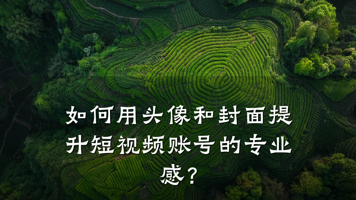 如何用头像和封面提升短视频账号的专业感?