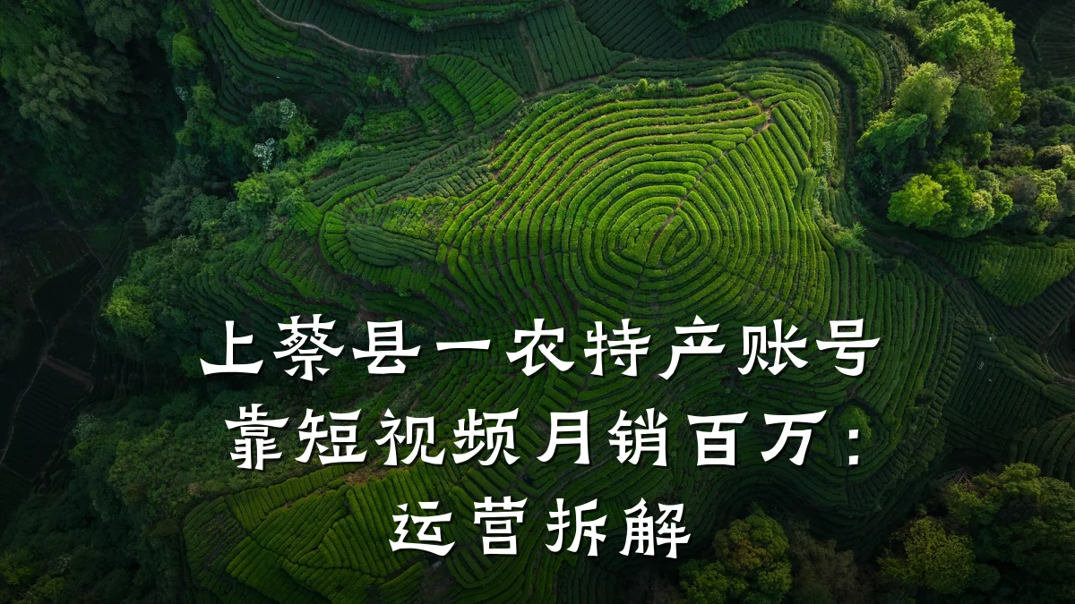 上蔡县一农特产账号靠短视频月销百万:运营拆解