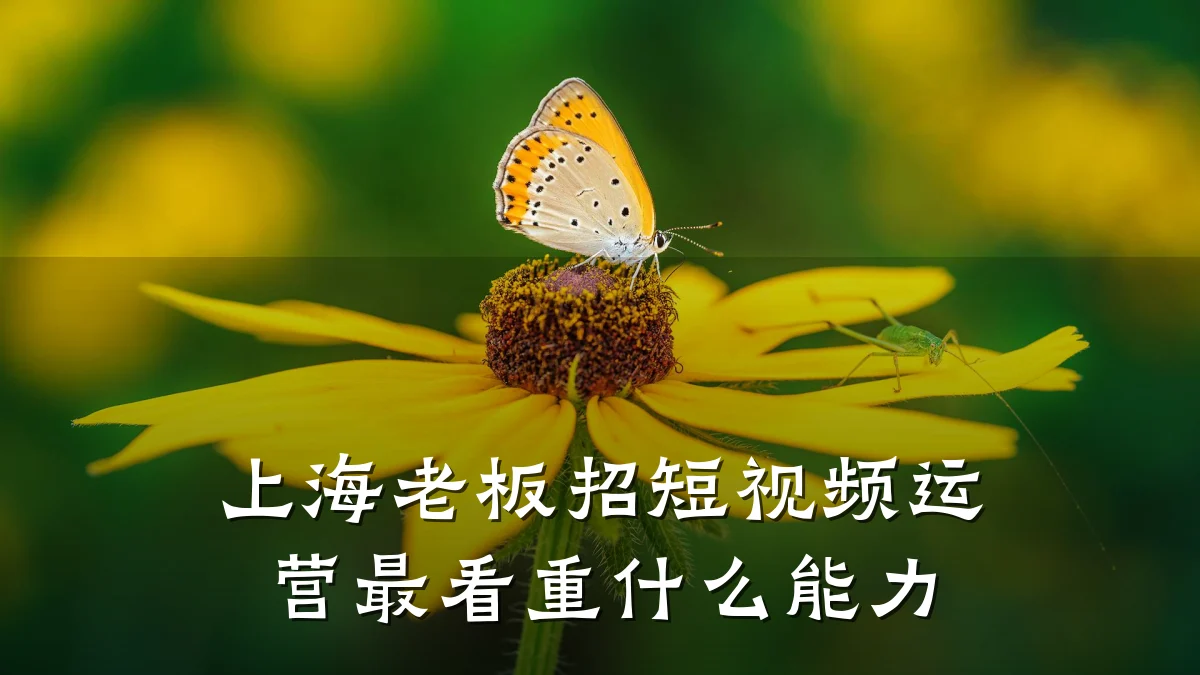 上海老板招短视频运营最看重什么能力
