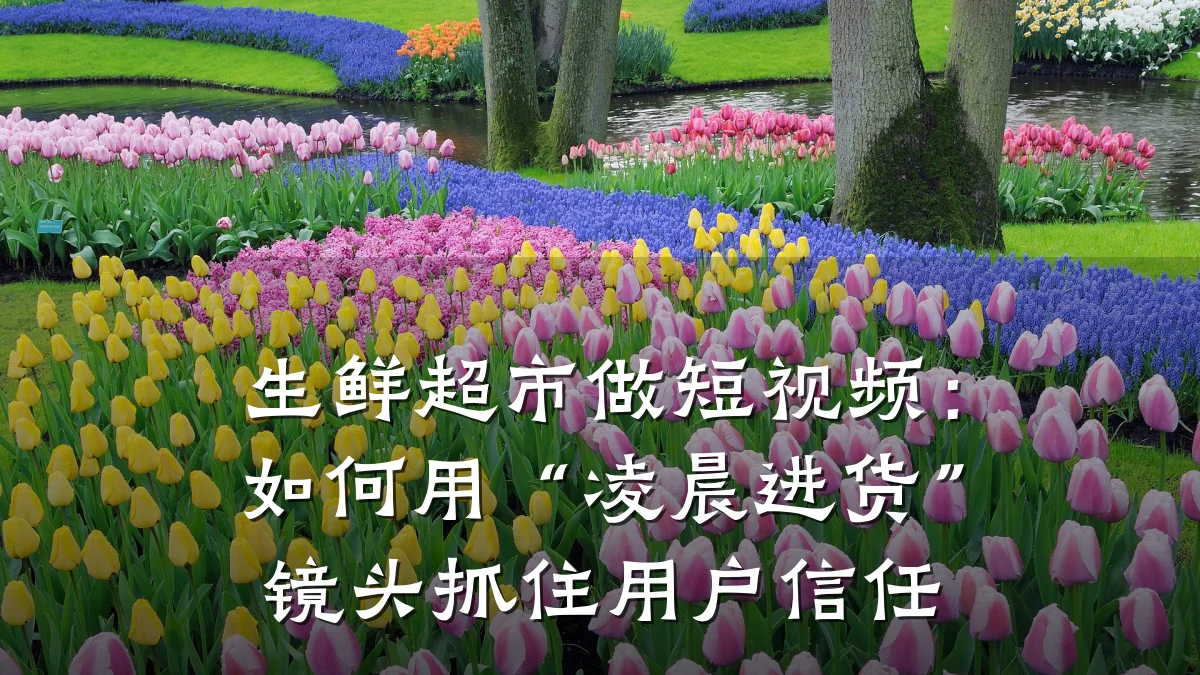 生鲜超市做短视频：如何用“凌晨进货”镜头抓住用户信任